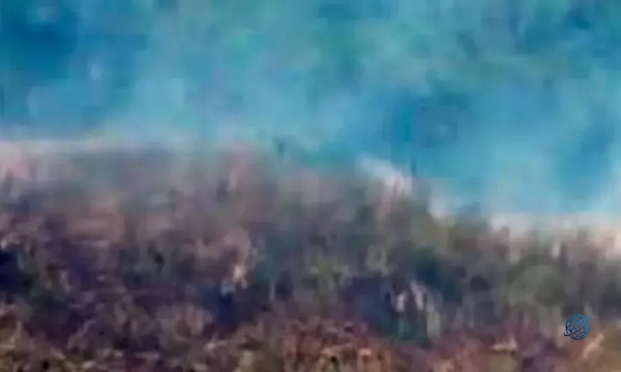 Sultangazi'de otluk alanda çıkan yangın ormana sıçradı! Alevler büyümeden söndürüldü