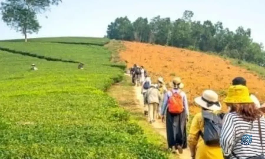 Tarladan sofraya eko-savunma: Agro-turizm