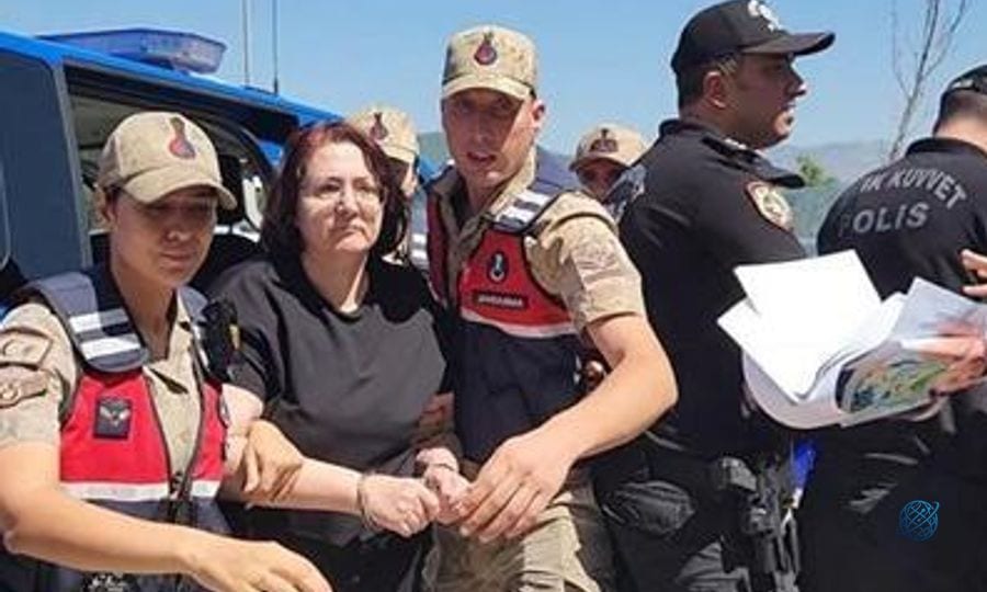 Gülistan Doku soruşturması: Tutuklanan eski valinin eşi Handan Sonel'in ifadelerine ulaşıldı