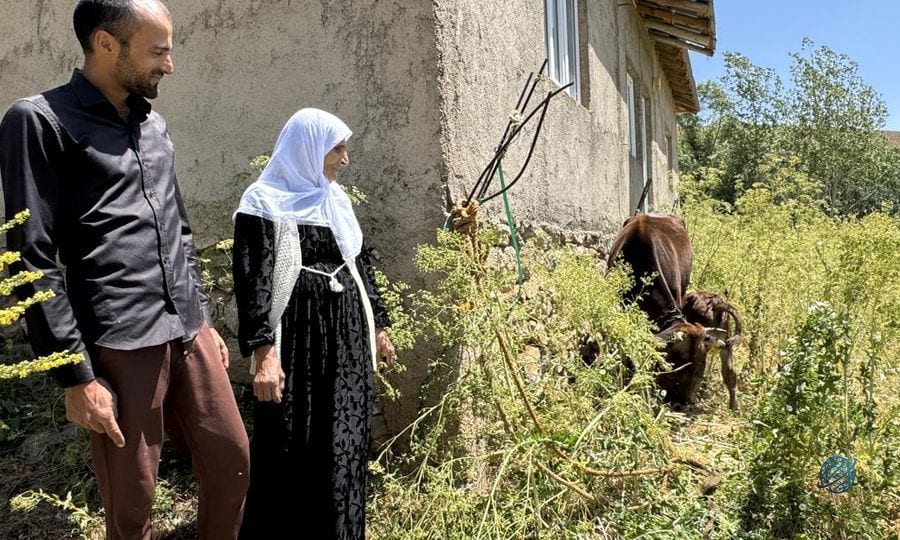 Yüksekova Kaymakamı ineği telef olan aileye inek ve buzağı hediye etti