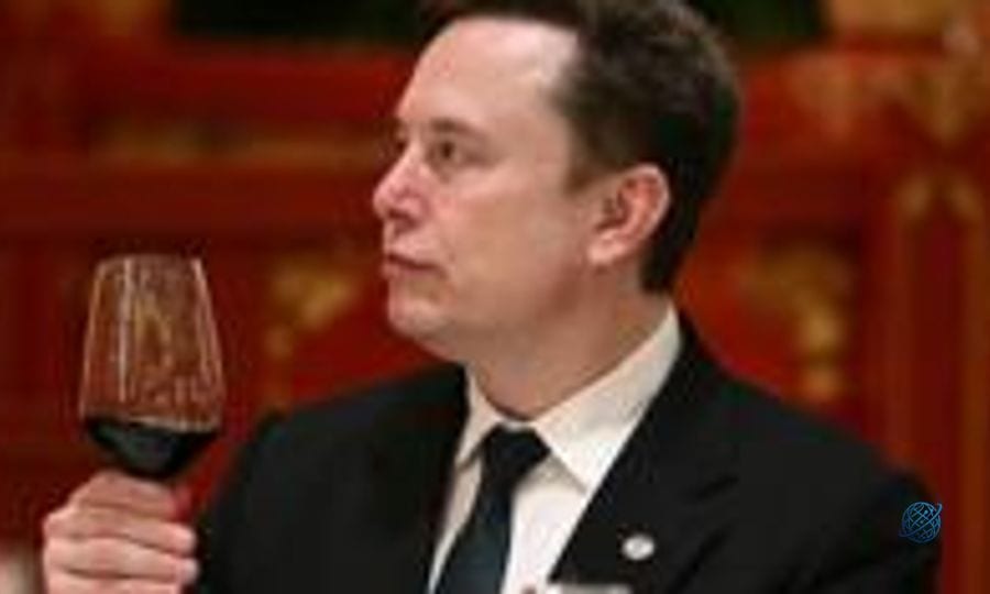 'Let's enjoy the ride' says Elon Musk, as AI fears mount