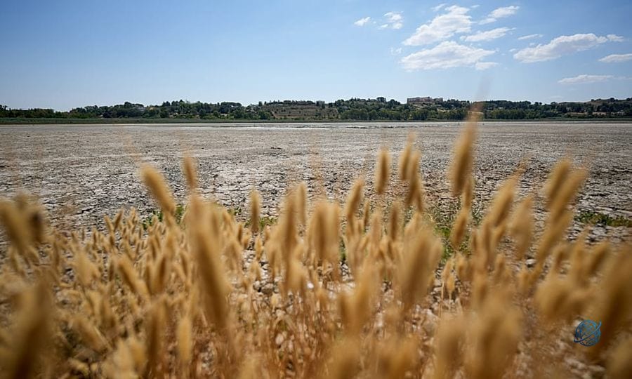 Avrupa’daki kuraklığın sorumlusu yağışsızlık değil, kavurucu sıcaklar oldu