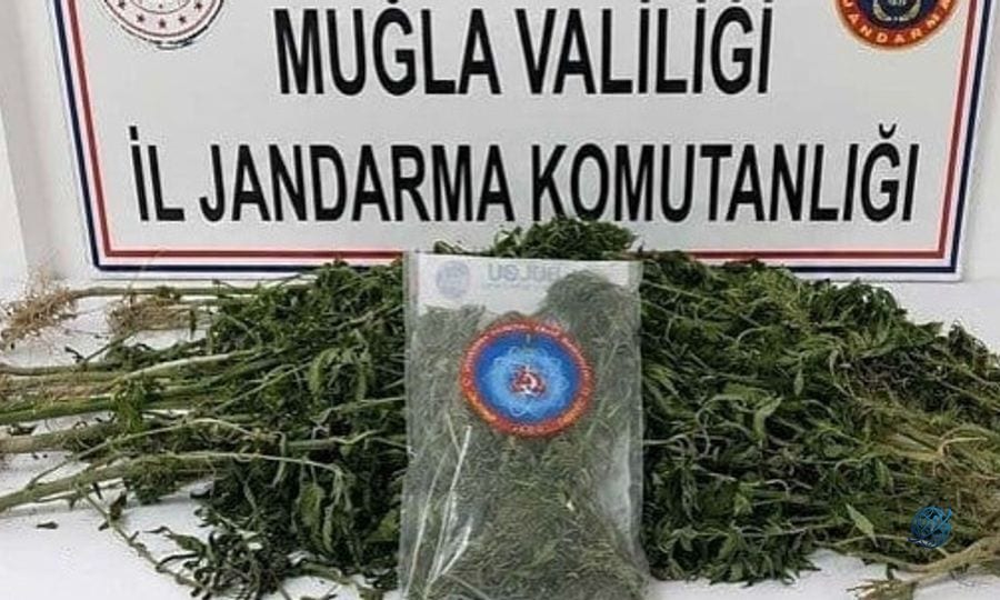 Muğla'da uyuşturucu operasyonları: 5 zanlı tutuklandı