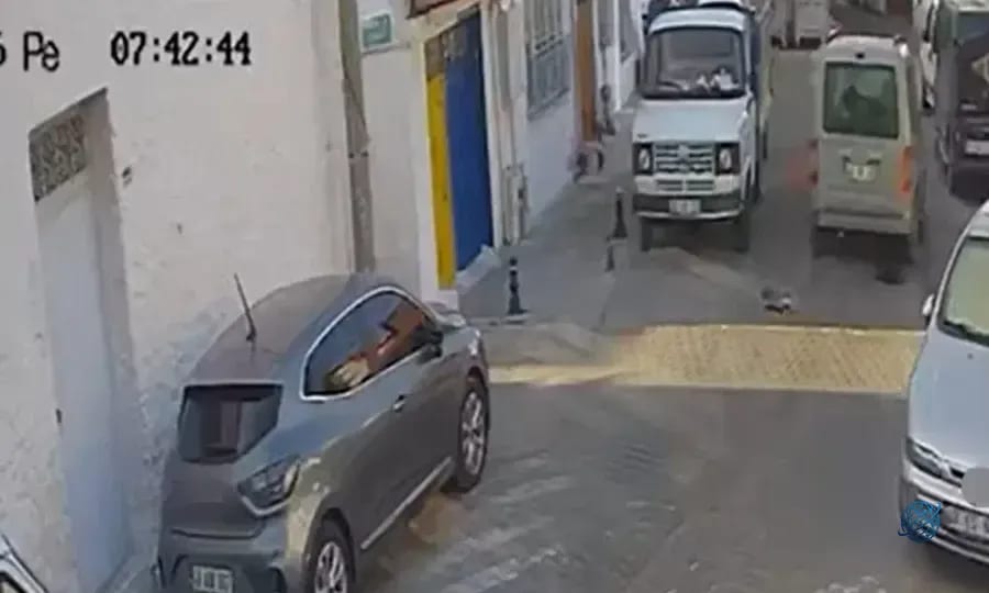 Muğla'da korkunç görüntüler... İki sokak kedisini ezdi, arkasına bile bakmadan uzaklaştı