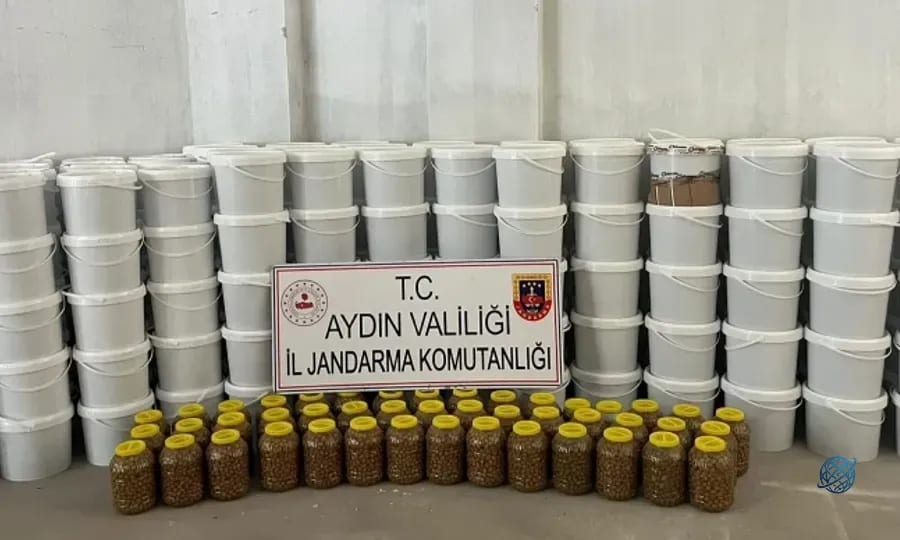 İnsan sağlığını tehlikeye düşürecek nitelikte 4 ton salçaya el konuldu