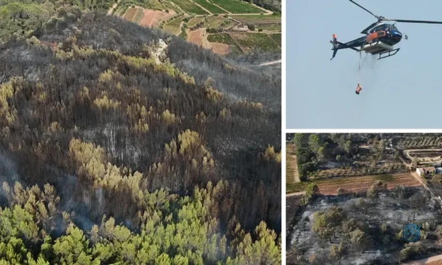 Fransa'da sıcak hava alarmı: Yangınlarla mücadele sürüyor