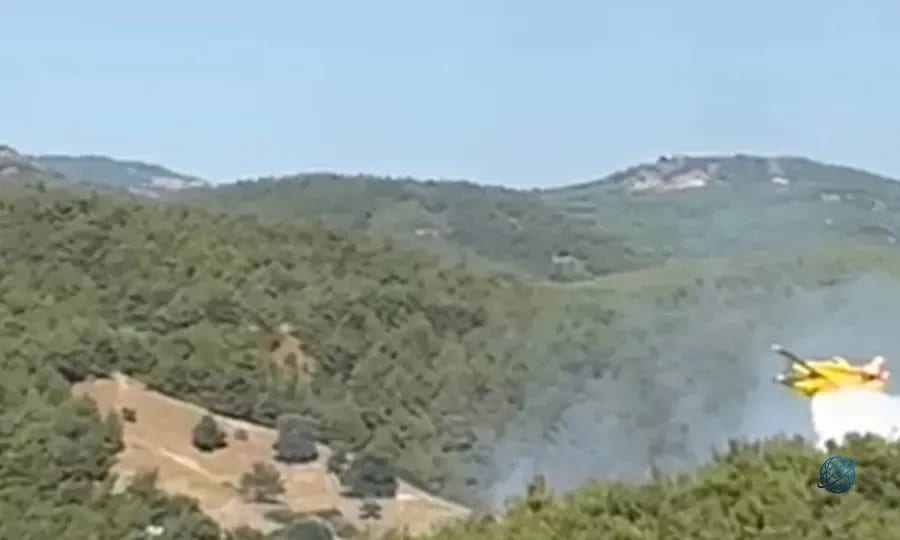 Balıkesir'deki orman yangını kontrol altına alındı