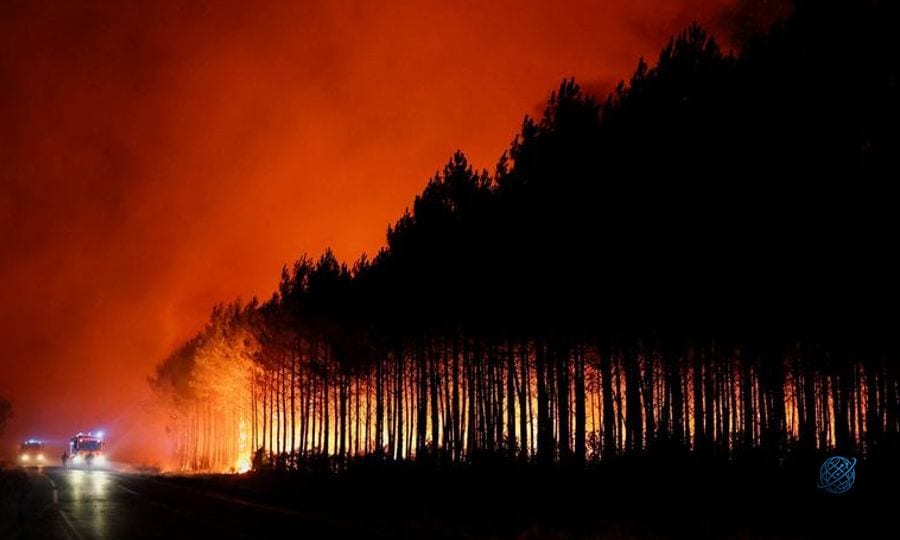Şiddetli orman yangınları: İspanya ve Fransa AB'den yardım istedi