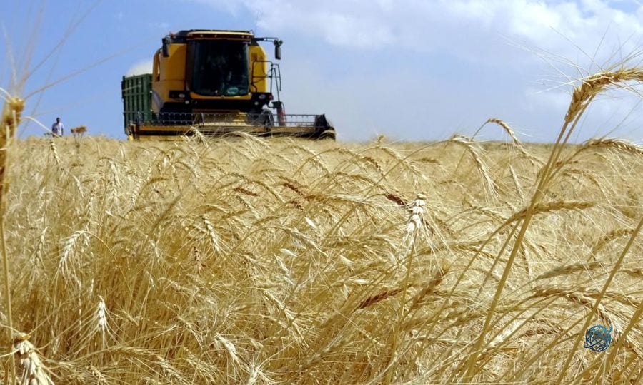 Tarımsal girdi fiyat endeksi mayısta arttı