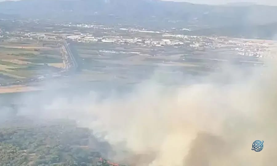 İzmir’de orman yangını!