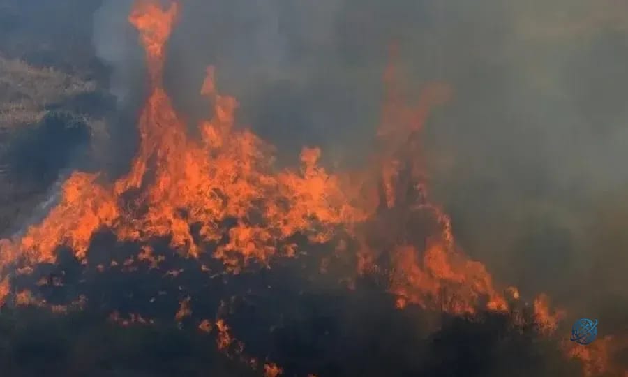 İtalya'nın Sicilya Adası'nda orman yangını! Yerleşim yerleri tehdit altında