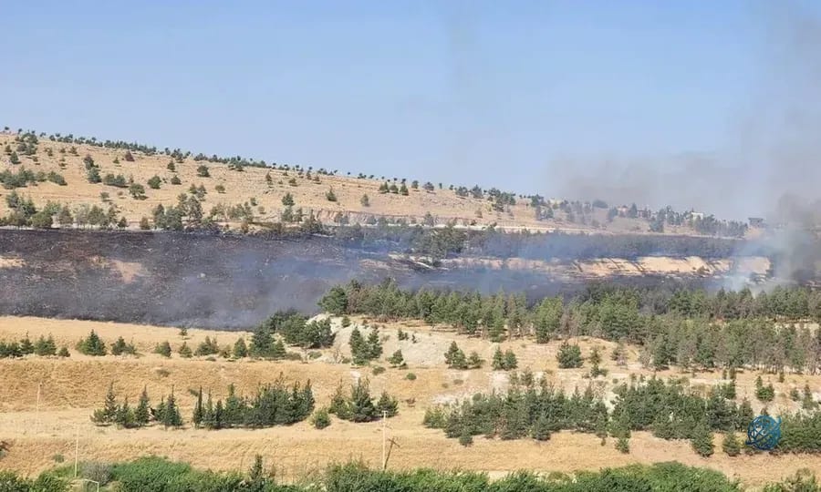 Şanlıurfa'da ormanlık alanda yangın çıktı! Ekiplerin müdahalesi sürüyor