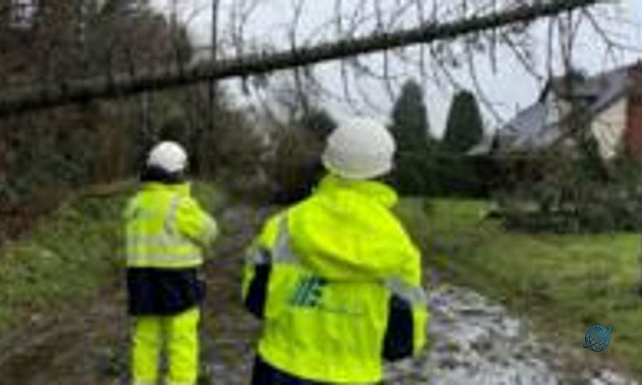 Minister to bring forward storm compensation law