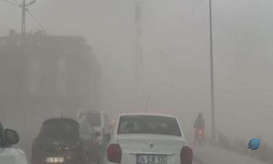 Meteoroloji uyarmıştı! İstanbul'da fırtına etkili oldu, ağaçlar devrildi