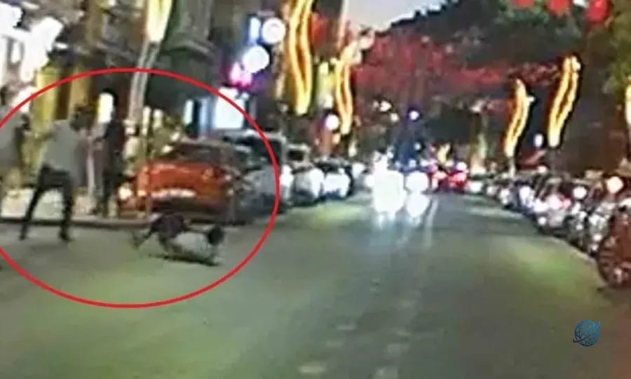 Alkollü şahıstan taşkınlık: Tek yumrukla yere serildi