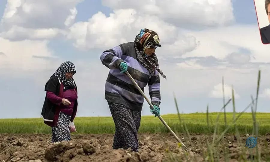 Yumaklı tarımsal hasılayla övünüyor, Türkiye kendi kendine yetemiyor: ‘Gerçek başarı, halkın gıdaya ne kadar ucuza erişebildiğidir’