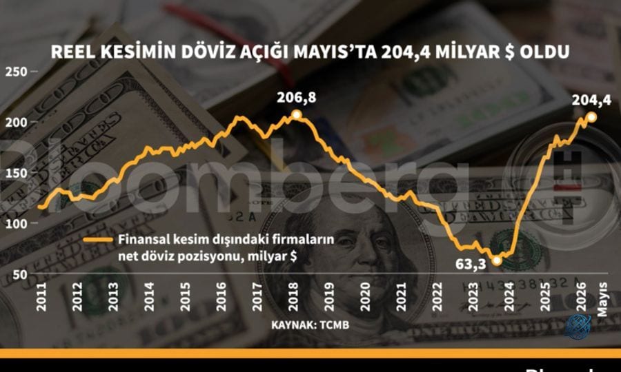 Reel kesimin döviz açığı Mayıs'ta 204,4 milyar dolar oldu
