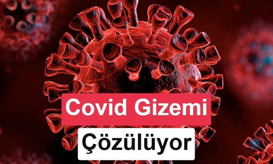Covid-19 neden bazı insanlarda çok daha ağır geçti? Bilim dünyası cevabı bulmuş olabilir