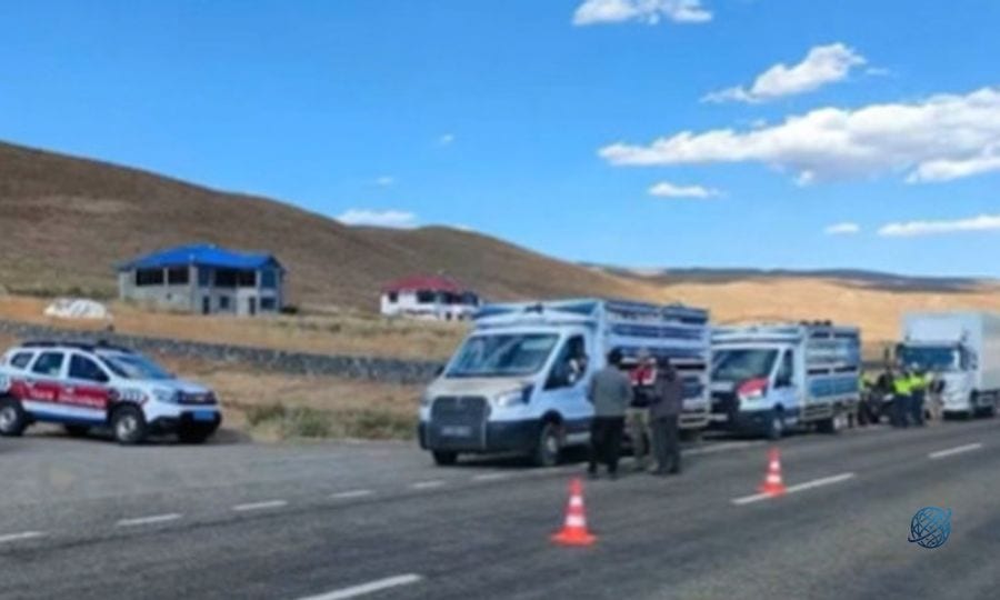81 ilde yapılan denetimlerde, 25 göçmen kaçakçılığı organizatörü ile 355 düzensiz göçmen yakalandı