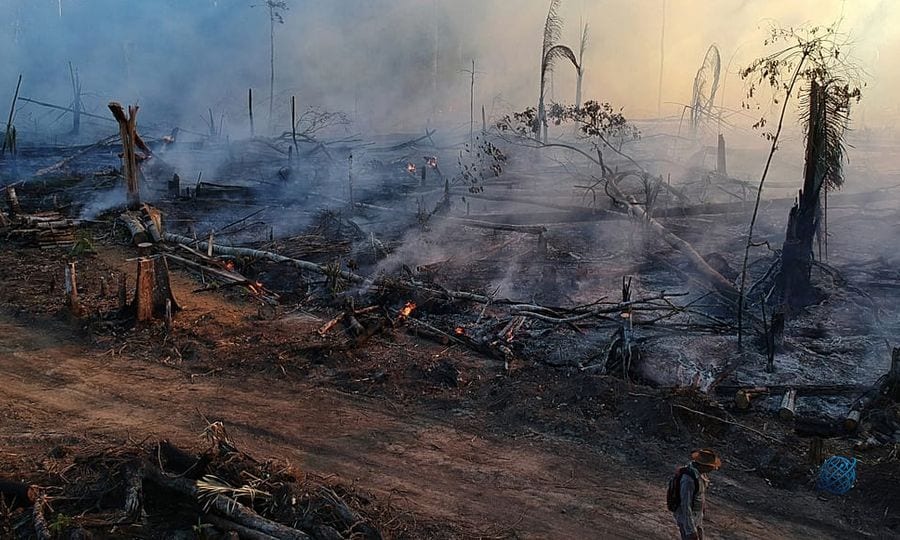 Gözler süper El Nino'da: Amazon'da orman yangınları 2025'te rekor seviyede geriledi