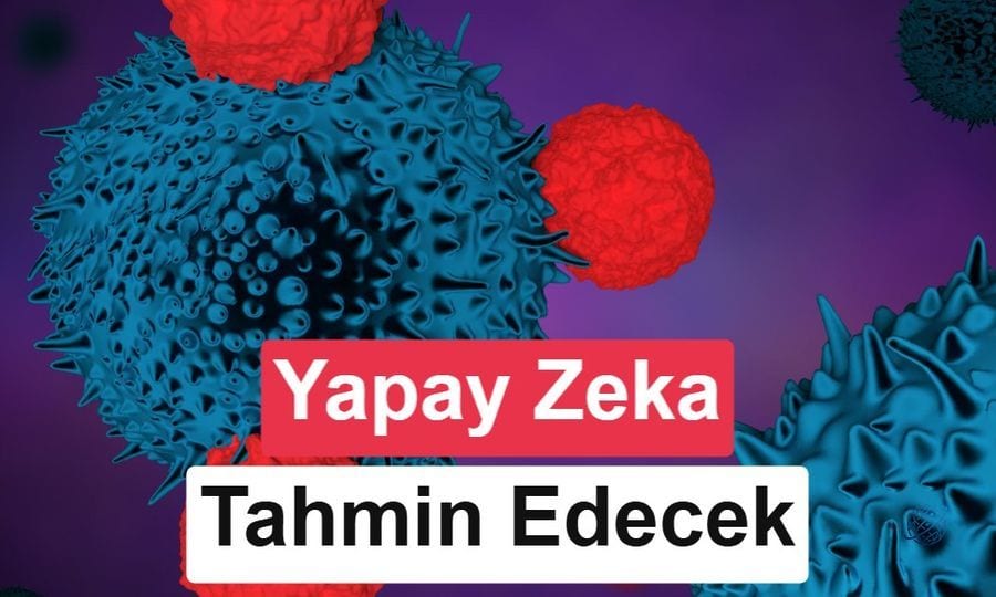 Kanserde yeni araç: Hangi hastanın tedaviye yanıt vereceği önceden bilinecek