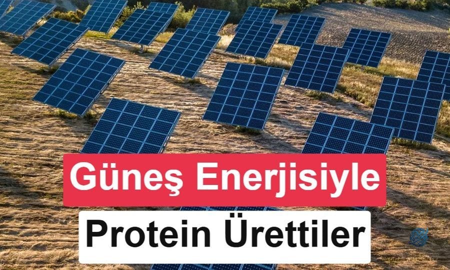 Geleceğin protein fabrikası: Güneş enerjisiyle CO2'den amino asit üretildi