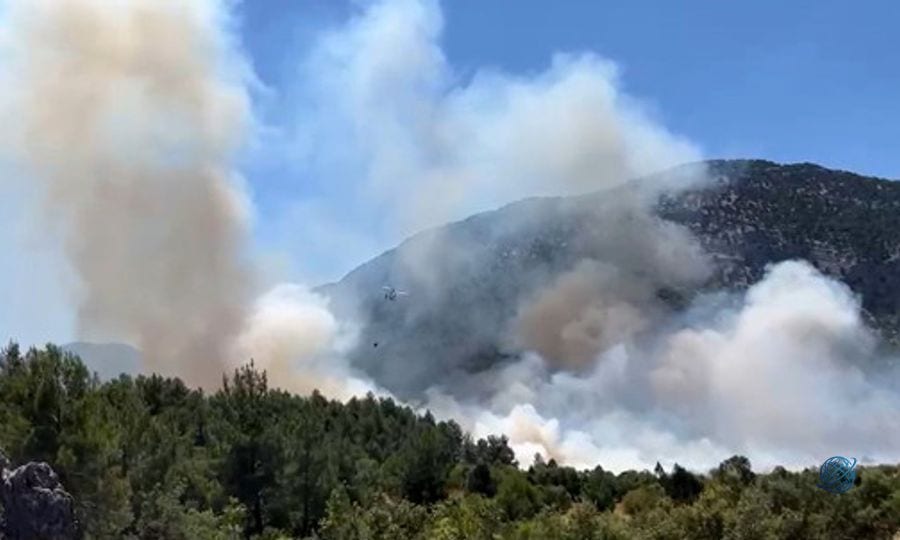 Antalya'da orman yangını! Havadan ve karadan müdahale ediliyor