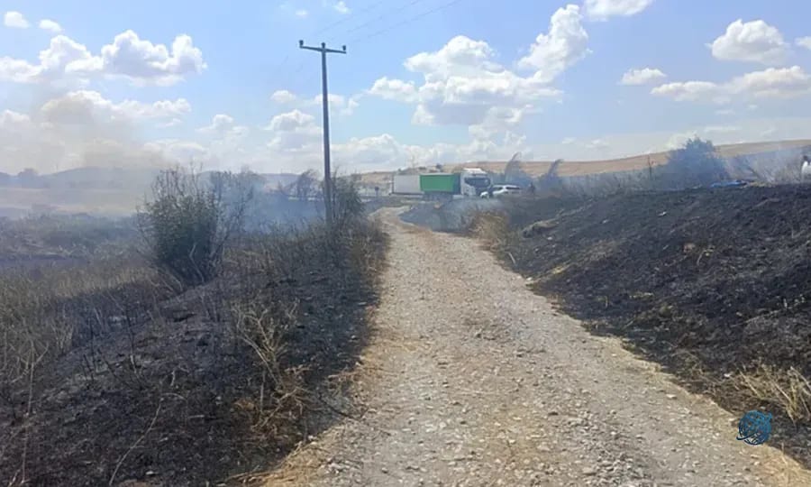 Susurluk'ta otluk ve sazlık alanda korkutan yangın