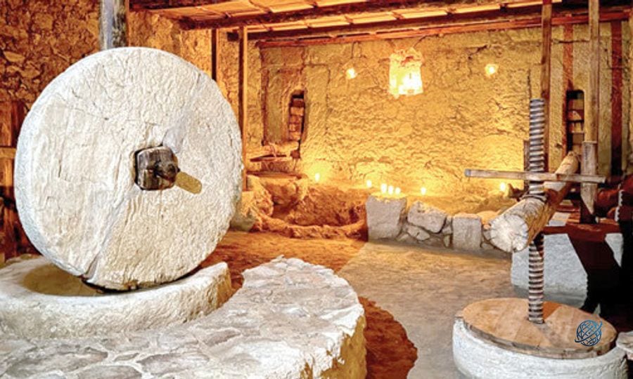 Syedra’nın zeytinyağı