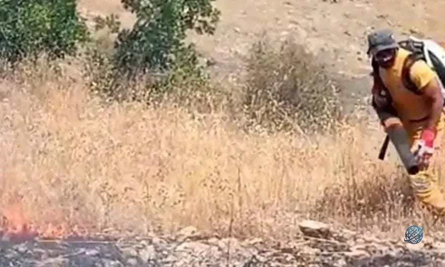 Diyarbakır’ın 3 ilçesinde çıkan yangınlar söndürüldü!