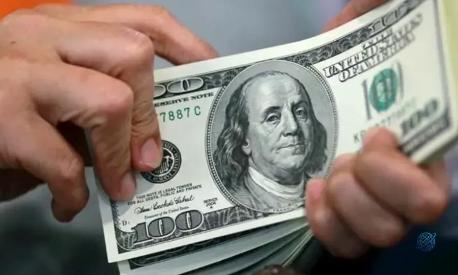 TCMB açıkladı: Reel sektörün döviz yükümlülüğü 204 milyar doları aştı